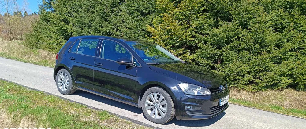 volkswagen Volkswagen Golf cena 51000 przebieg: 132000, rok produkcji 2015 z Biłgoraj